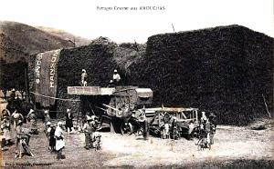 AMOUCHAS - PRES DE SETIF - BATTAGES COUSTER